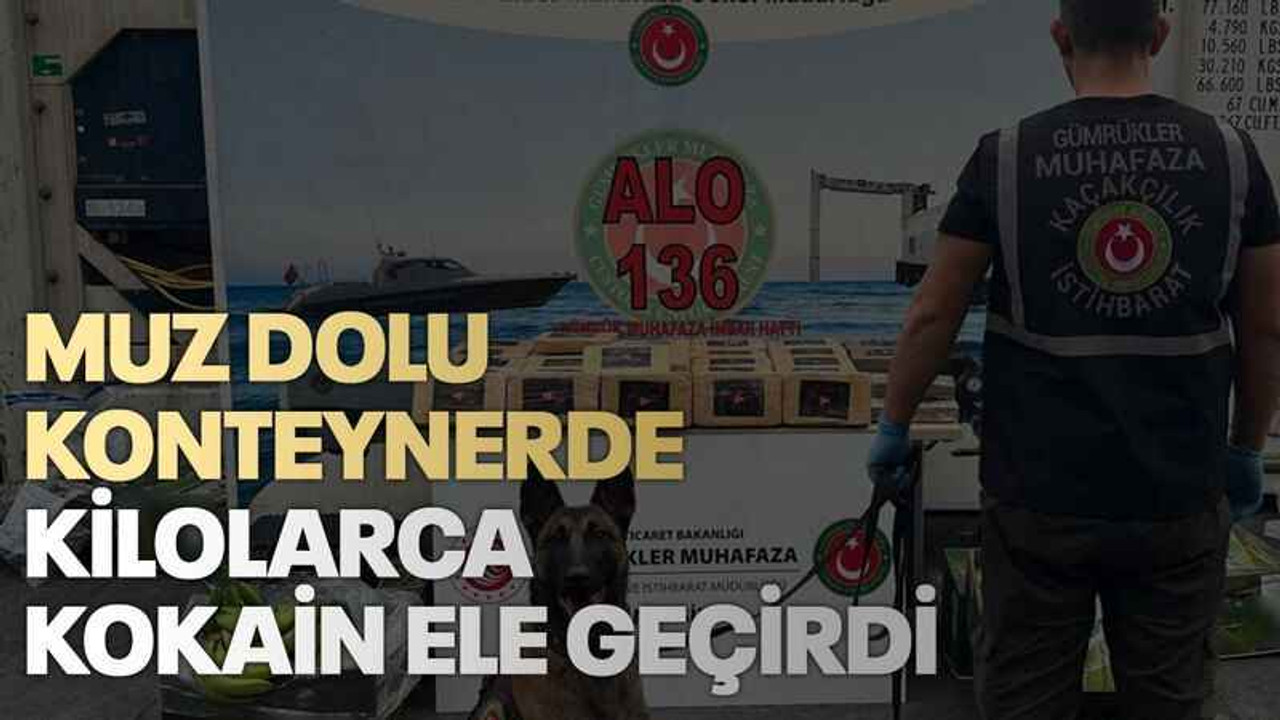 Muz dolu konteynerde kilolarca kokain ele geçirdi